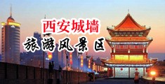 操大鸡吧中国陕西-西安城墙旅游风景区